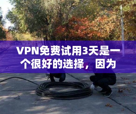 VPN免费试用3天是一个很好的选择，因为它提供了一个快速体验和了解其安全性和便利性的机会。以下是一些关键点，帮助您更好地理解和使用VPN