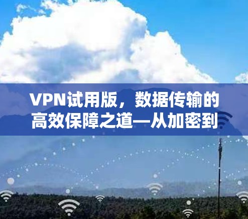 VPN试用版，数据传输的高效保障之道—从加密到隐私到高可用性，你值得尝试！