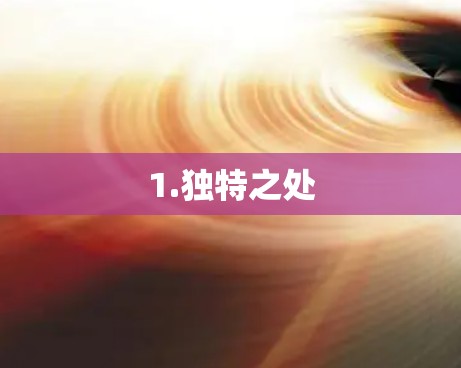 1.独特之处