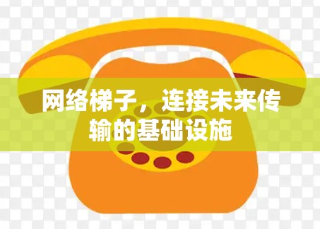 网络梯子，连接未来传输的基础设施