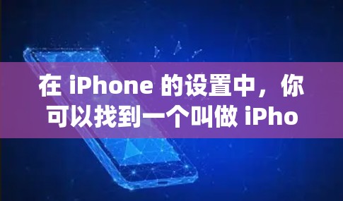 在 iPhone 的设置中，你可以找到一个叫做 iPhone梯子 的选项，通常位于 calendar 或 settings menu 中。这个选项允许你调整设备上的日期和提醒设置，使其更符合你的需求