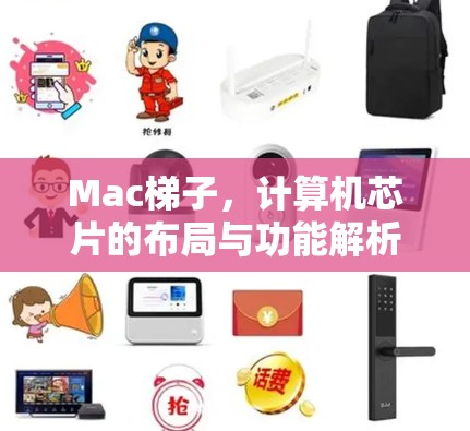 Mac梯子，计算机芯片的布局与功能解析