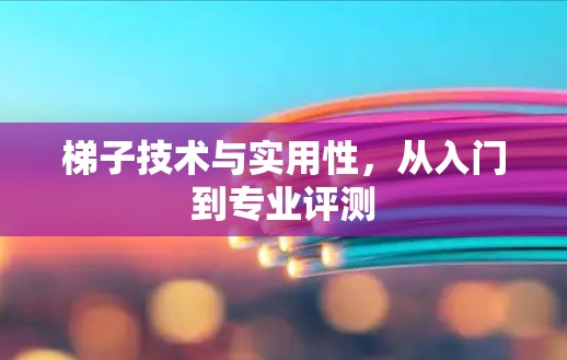 梯子技术与实用性，从入门到专业评测