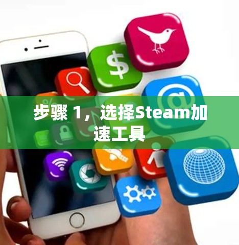 步骤 1，选择Steam加速工具