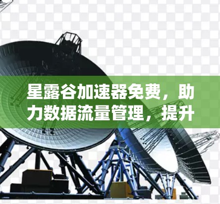 星露谷加速器免费，助力数据流量管理，提升系统性能！
