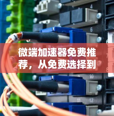 微端加速器免费推荐，从免费选择到定制优化
