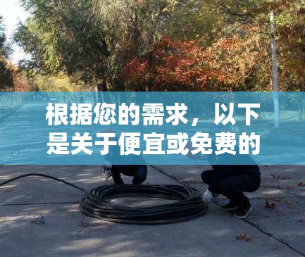 根据您的需求，以下是关于便宜或免费的加速器的建议
