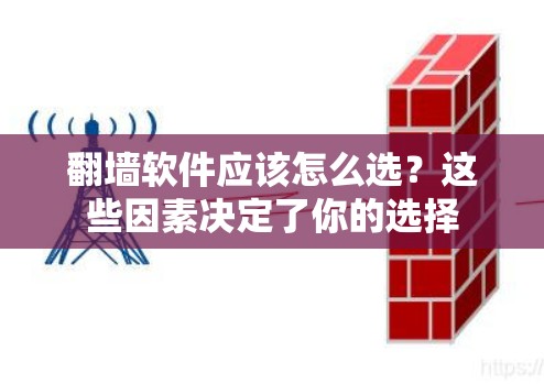 翻墙软件应该怎么选？这些因素决定了你的选择
