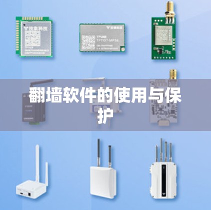 翻墙软件的使用与保护