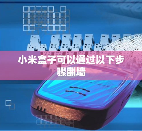 小米盒子可以通过以下步骤翻墙