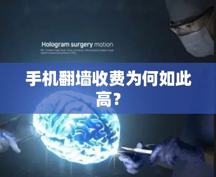 手机翻墙收费为何如此高？