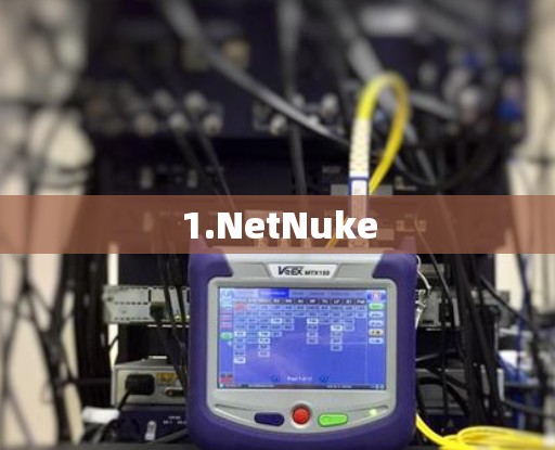 1.NetNuke