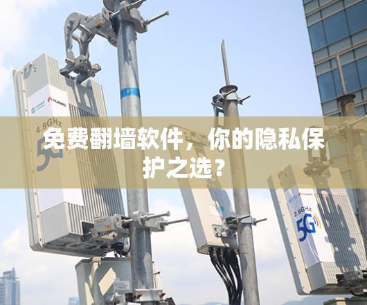 免费翻墙软件，你的隐私保护之选？
