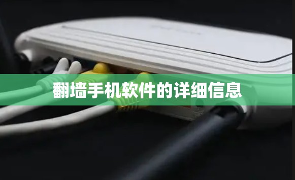 翻墙手机软件的详细信息