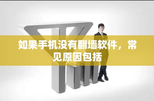如果手机没有翻墙软件，常见原因包括