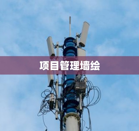 项目管理墙绘