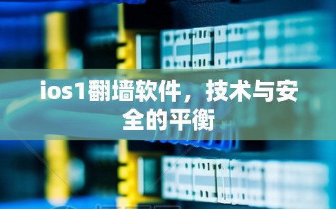ios1翻墙软件，技术与安全的平衡