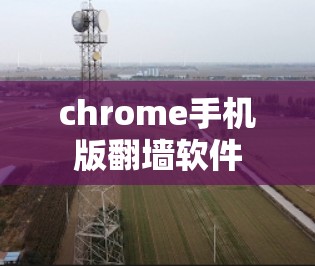chrome手机版翻墙软件