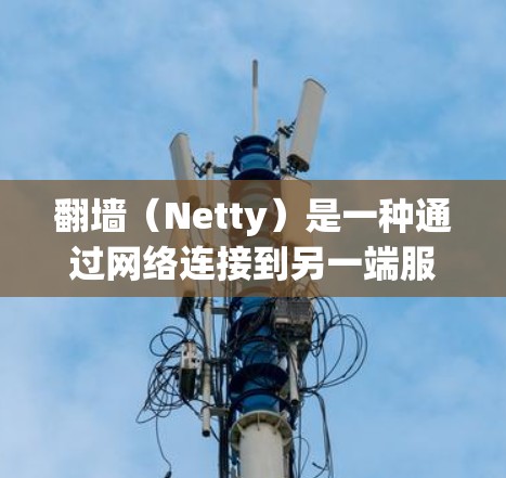 翻墙（Netty）是一种通过网络连接到另一端服务器的技术，用于访问外部资源，如网站、文档、云资源等。翻墙软件可以帮助用户轻松访问这些资源，但需要注意以下几点