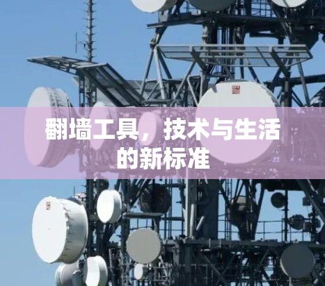 翻墙工具,技术与生活的新标准 翻墙工具,技术与生活的新标准