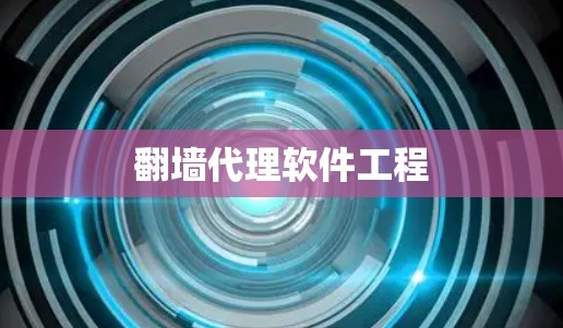 翻墙代理软件工程