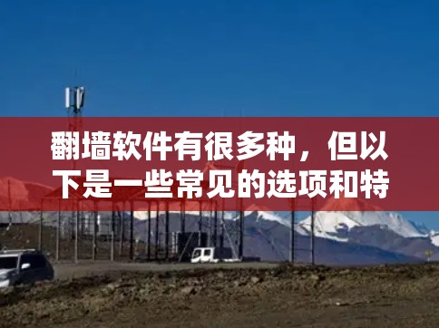 翻墙软件有很多种，但以下是一些常见的选项和特点，供您参考