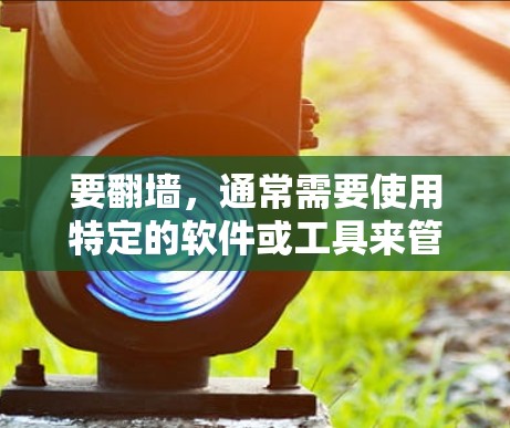 要翻墙，通常需要使用特定的软件或工具来管理网络访问。以下是一些常见的推荐，帮助您找到适合的工具