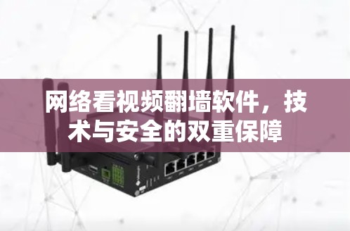 网络看视频翻墙软件，技术与安全的双重保障