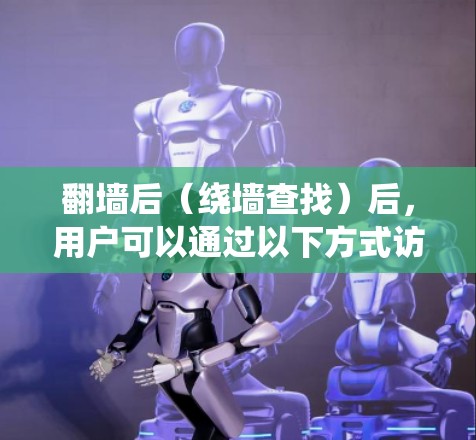 翻墙后（绕墙查找）后，用户可以通过以下方式访问和管理内部服务器