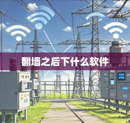 翻墙之后下什么软件