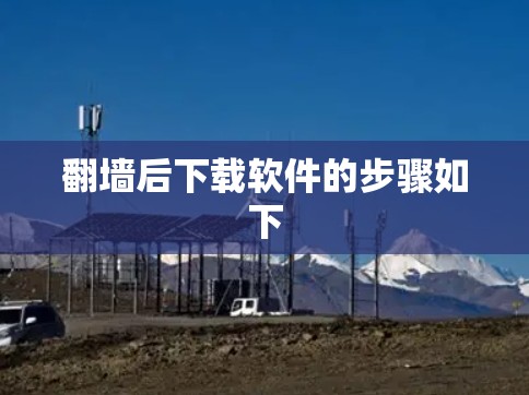 翻墙后下载软件的步骤如下