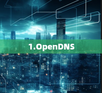 1.OpenDNS
