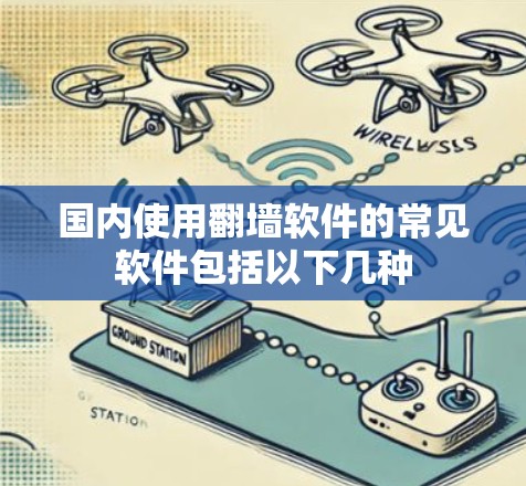 国内使用翻墙软件的常见软件包括以下几种