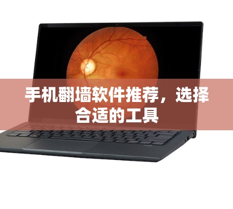 手机翻墙软件推荐，选择合适的工具