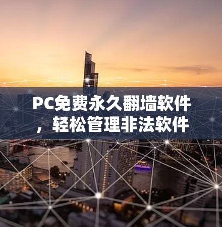 PC免费永久翻墙软件，轻松管理非法软件