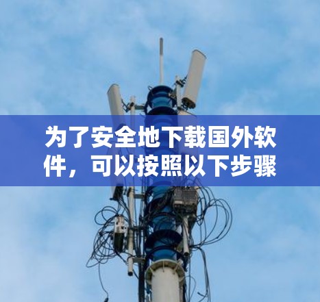 为了安全地下载国外软件，可以按照以下步骤进行操作