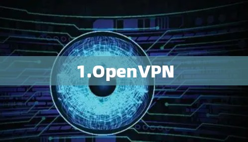 1.OpenVPN