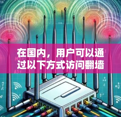在国内，用户可以通过以下方式访问翻墙软件