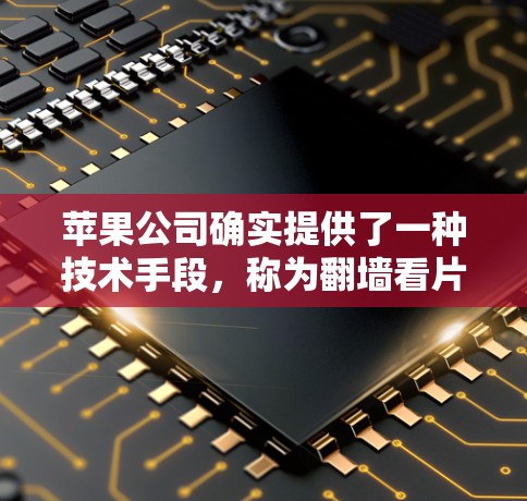 苹果公司确实提供了一种技术手段，称为翻墙看片软件，用于监控和管理外部服务器。以下是关于该软件的详细分析
