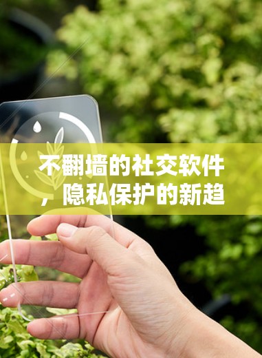 不翻墙的社交软件，隐私保护的新趋势