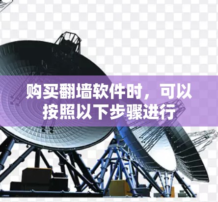 购买翻墙软件时，可以按照以下步骤进行