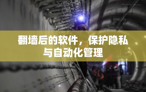 翻墙后的软件，保护隐私与自动化管理