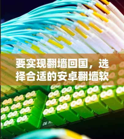 要实现翻墙回国，选择合适的安卓翻墙软件是一个明智的决策。以下是对安卓翻墙回国软件的详细介绍