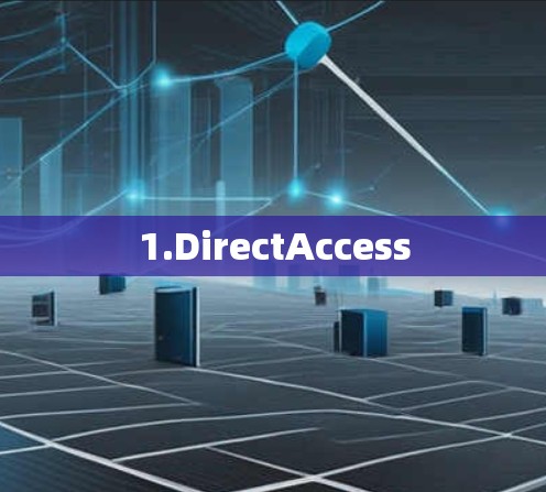 1.DirectAccess
