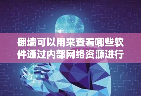翻墙可以用来查看哪些软件通过内部网络资源进行访问。以下是一些可能被用于翻墙功能的软件