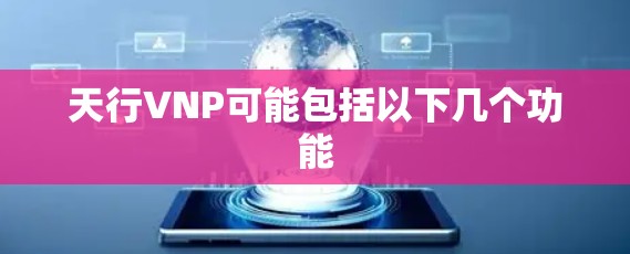 天行VNP可能包括以下几个功能