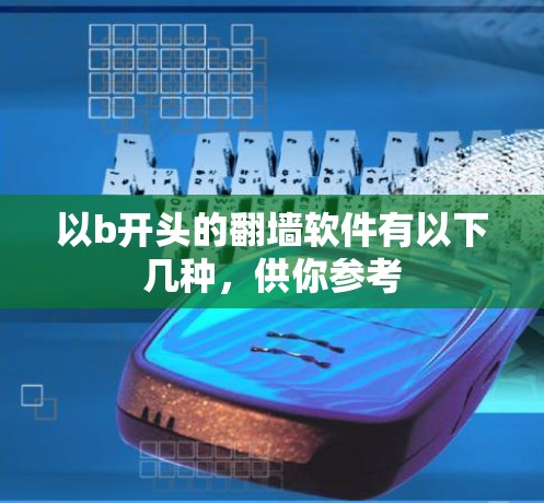 以b开头的翻墙软件有以下几种，供你参考