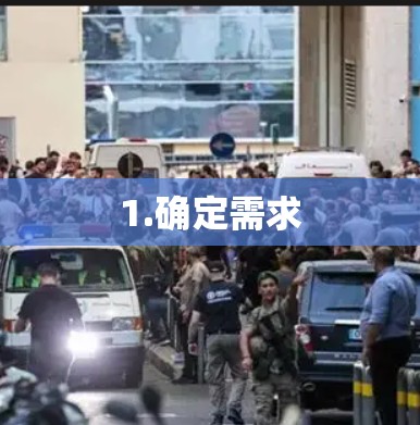 1.确定需求