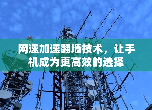 网速加速翻墙技术，让手机成为更高效的选择