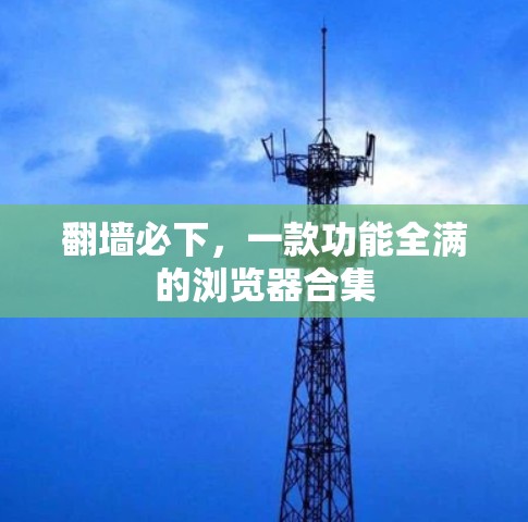 翻墙必下，一款功能全满的浏览器合集